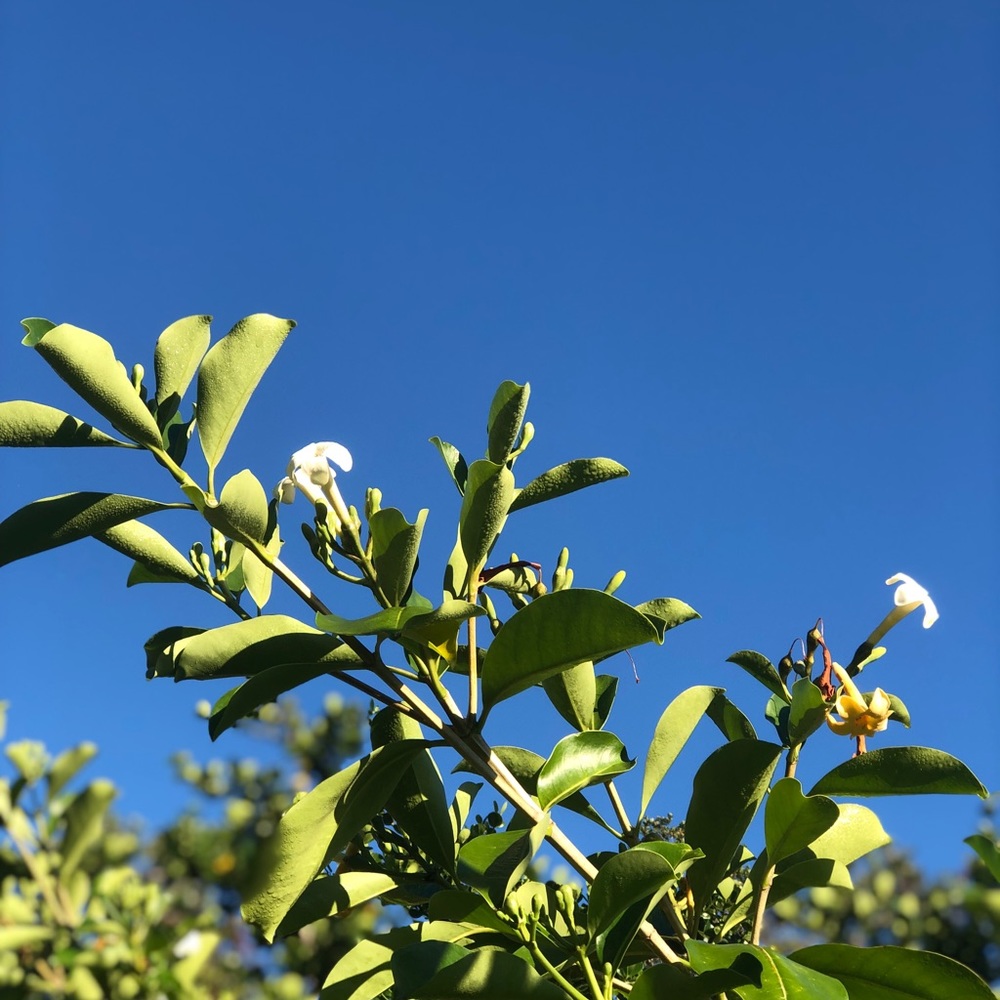 Meet your Posher, Christin